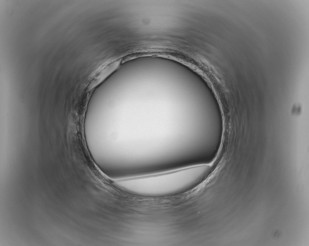 X0000091181449200708091036