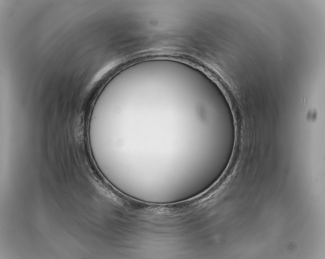X0000091181450200708091036