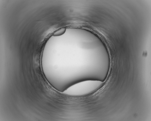 X0000091181451200708091036