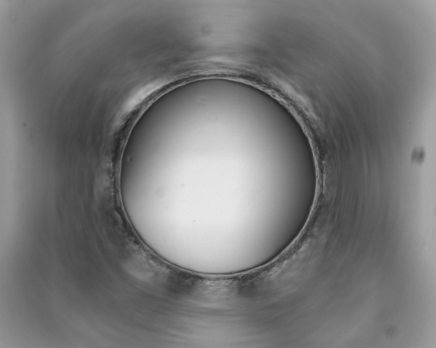 X0000091181453200708091036