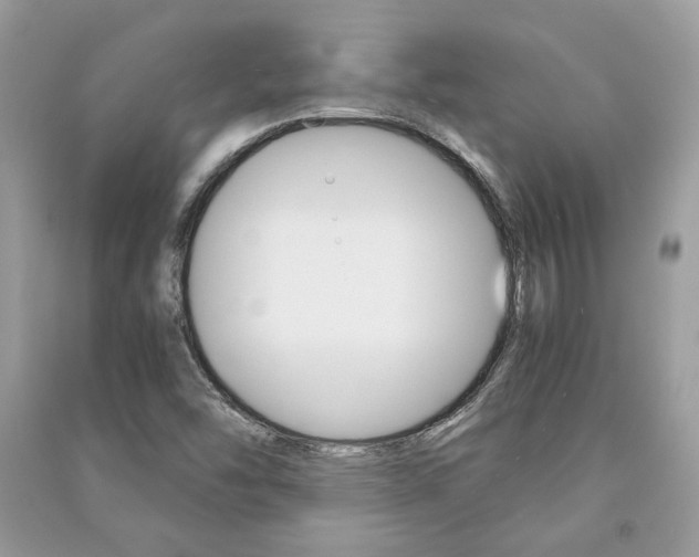 X0000091181454200708091036