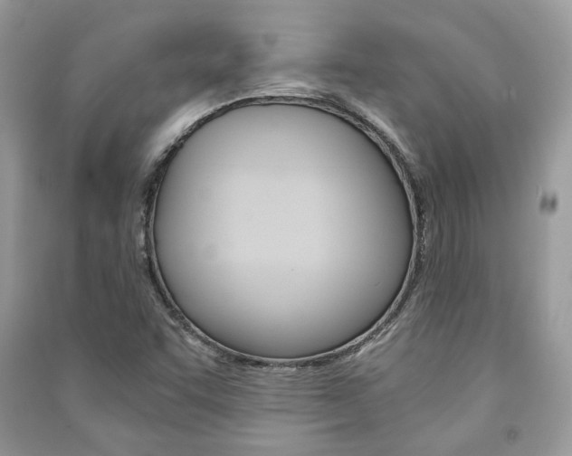X0000091181455200708091036