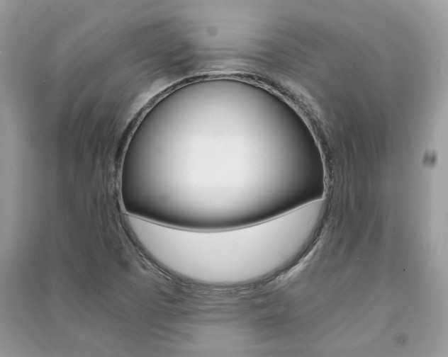 X0000091181457200708091036