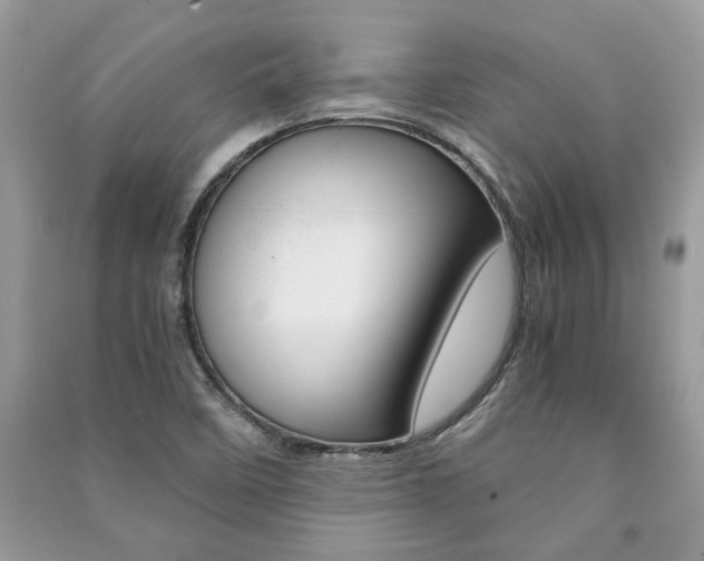 X0000091181458200708091036
