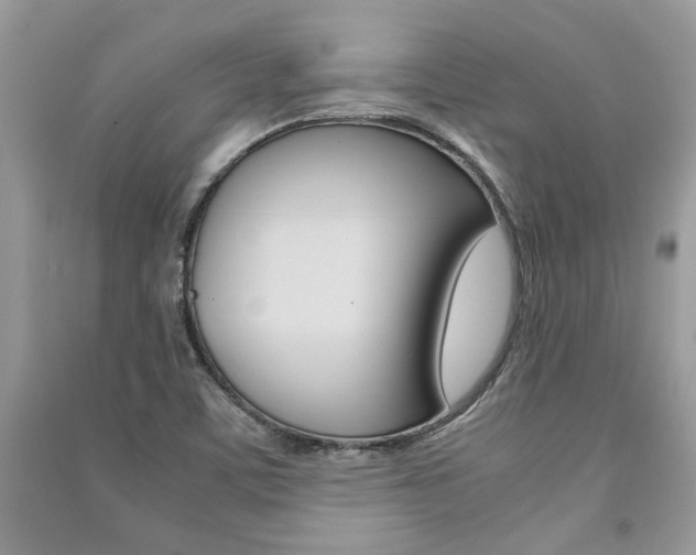X0000091181459200708091036