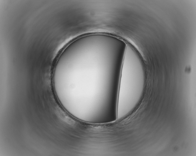 X0000091181460200708091036