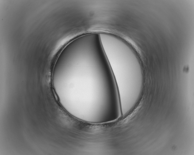 X0000091181461200708091036