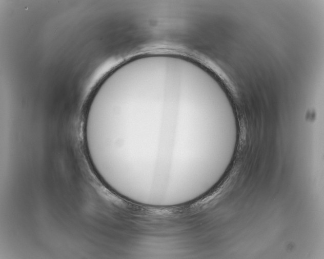 X0000091181462200708091036