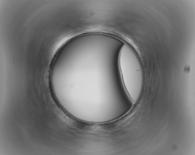X0000091181463200708091036