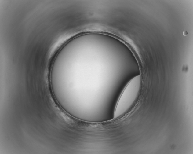 X0000091181464200708091036