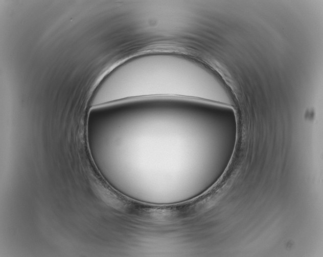 X0000091181465200708091036