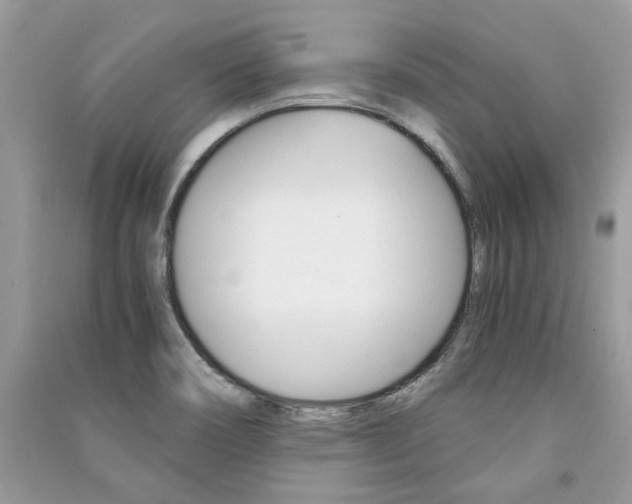 X0000091181466200708091036