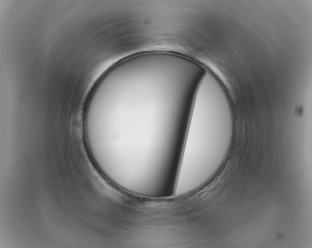 X0000091181468200708091036