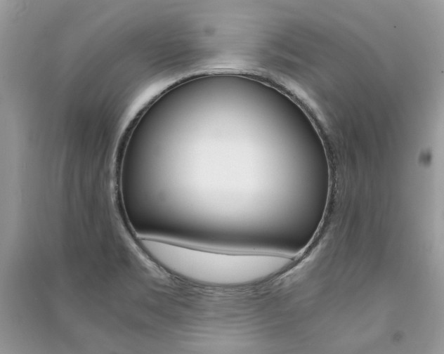 X0000091181469200708091036
