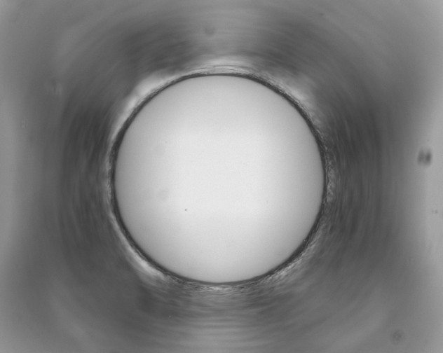 X0000091181470200708091036