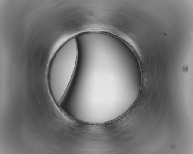 X0000091181472200708091036