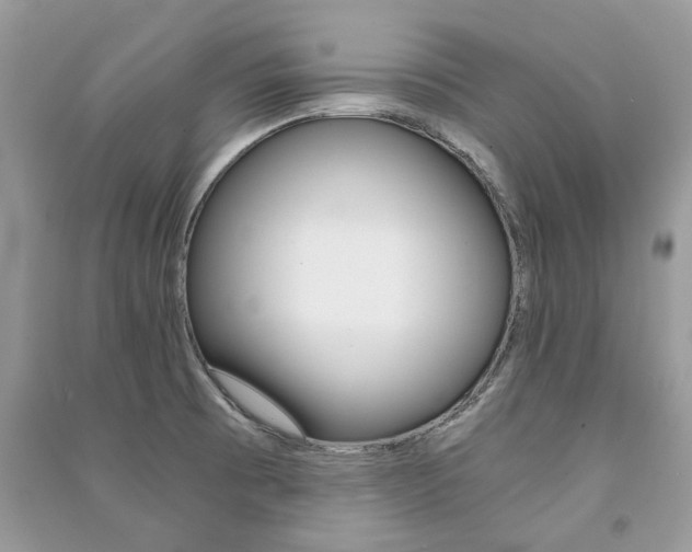 X0000091181473200708091036