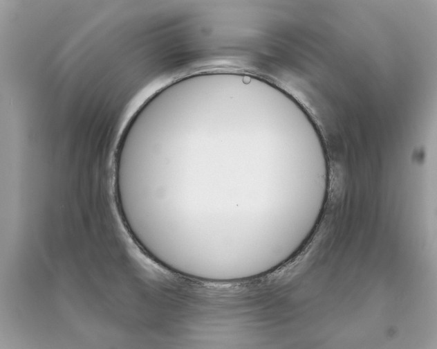 X0000091181474200708091036