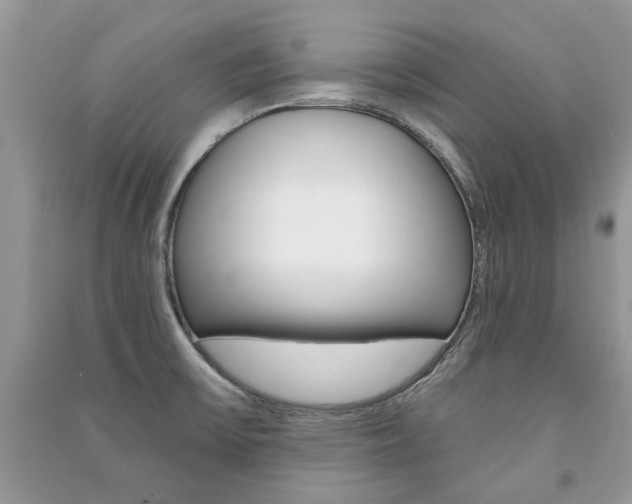X0000091181475200708091036