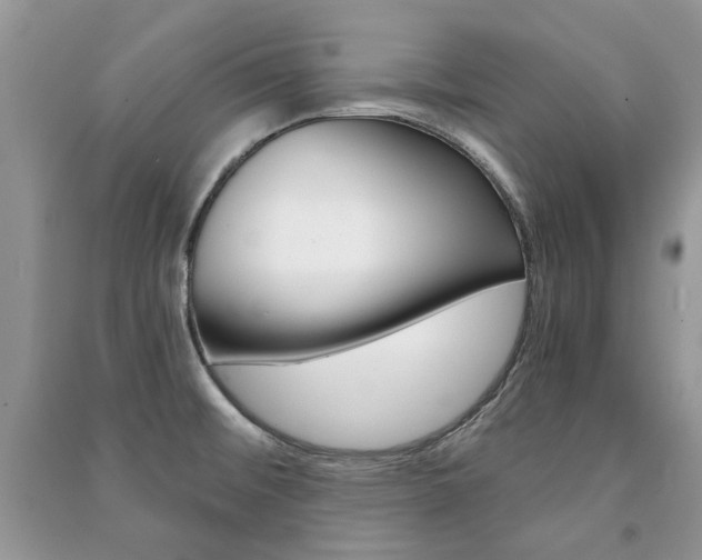 X0000091181476200708091036