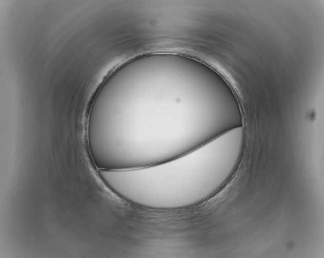 X0000091181477200708091036