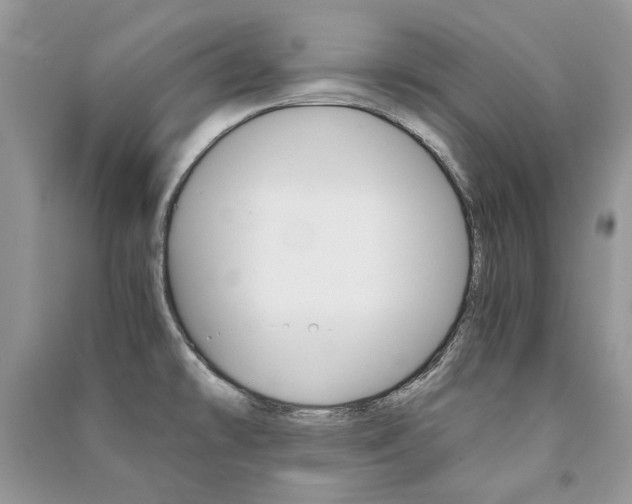 X0000091181478200708091036