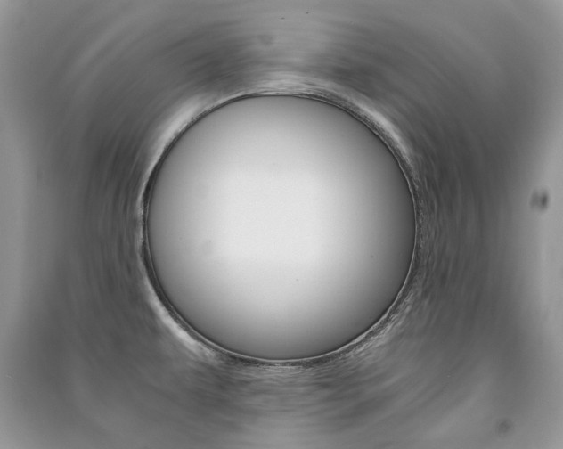 X0000091181479200708091036