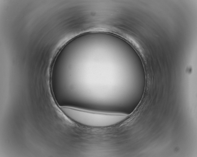 X0000091181480200708091036