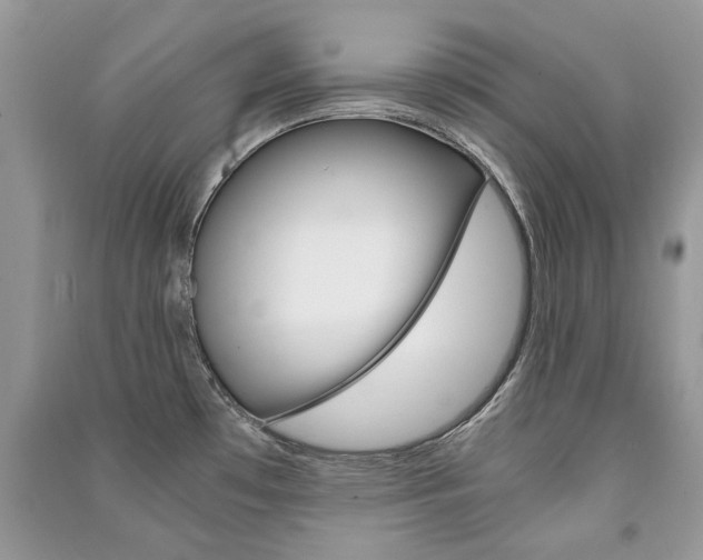 X0000091181481200708091036