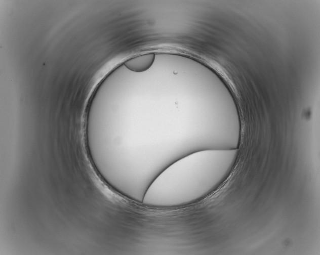 X0000091181482200708091036