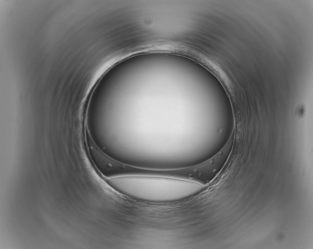 X0000091181483200708091036