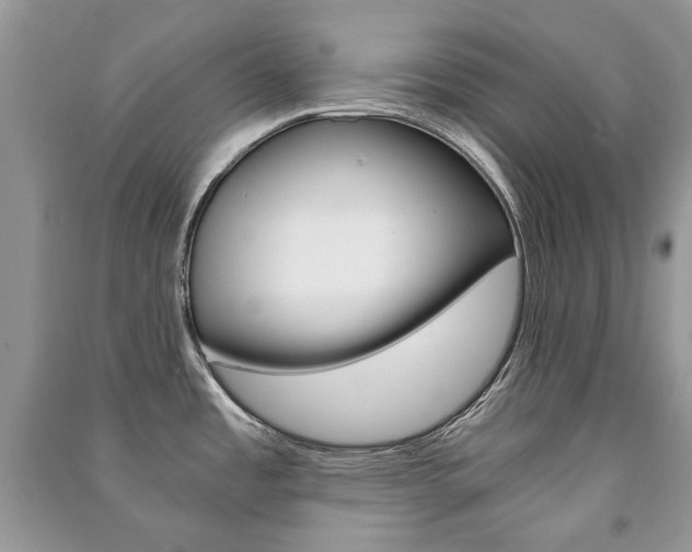X0000091181485200708091035