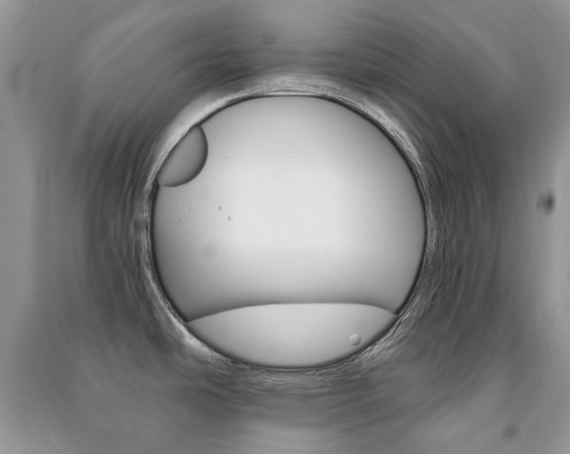 X0000091181486200708091035