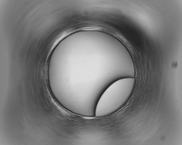 X0000091181487200708091035