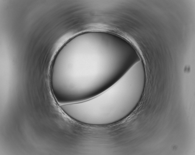 X0000091181488200708091035