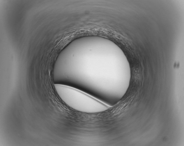 X0000091181489200708091035
