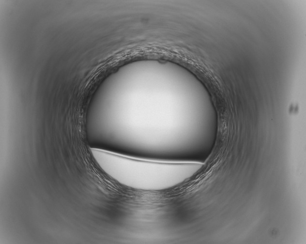 X0000091181490200708091035