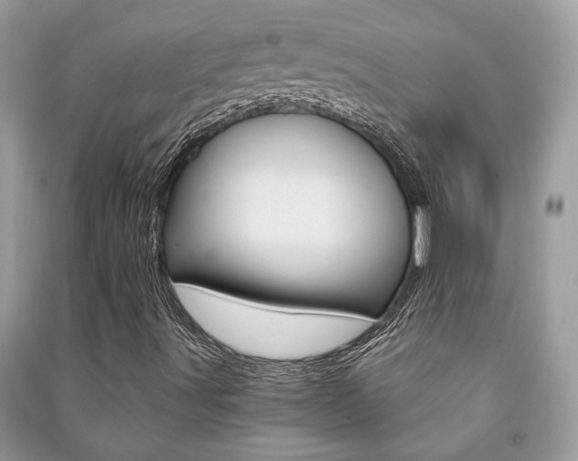 X0000091181491200708091035