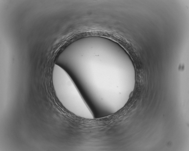 X0000091181493200708091035
