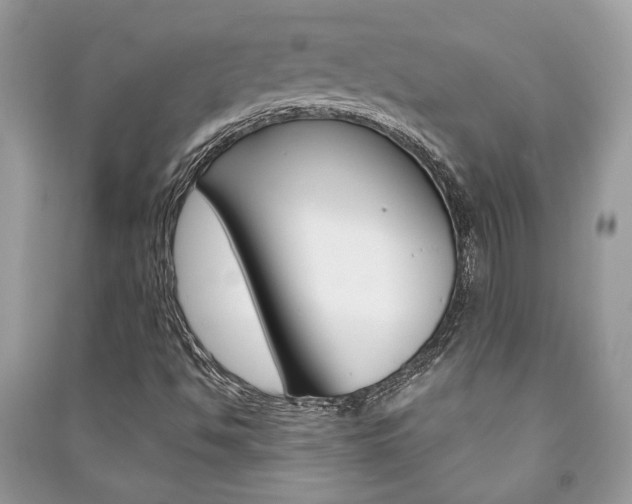 X0000091181494200708091035