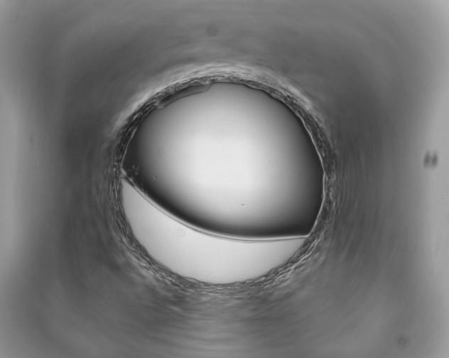 X0000091181496200708091035