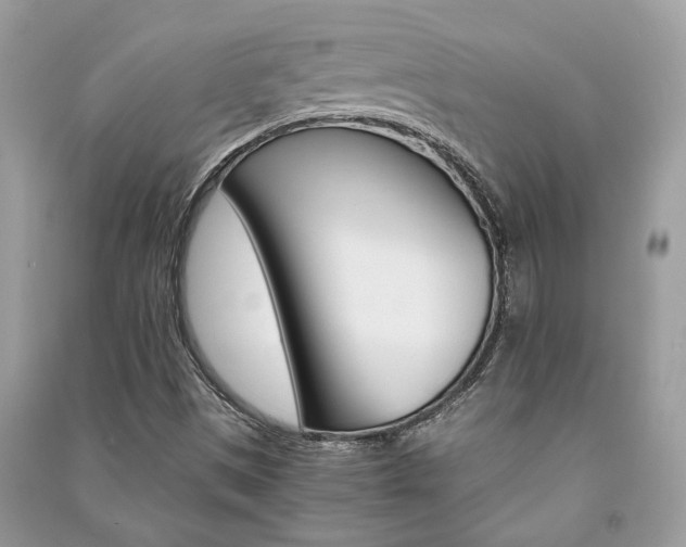 X0000091181497200708091035