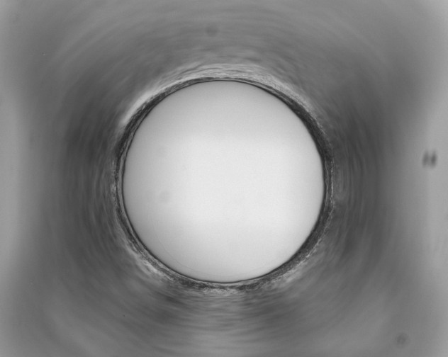 X0000091181498200708091035