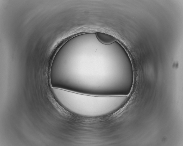 X0000091181499200708091035