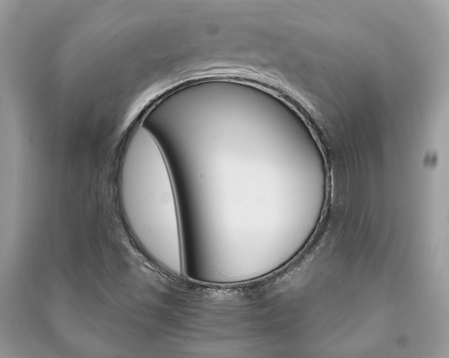 X0000091181501200708091035