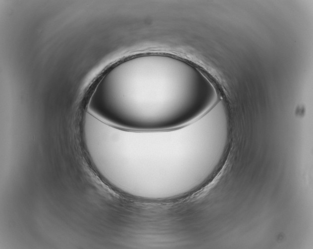 X0000091181502200708091035