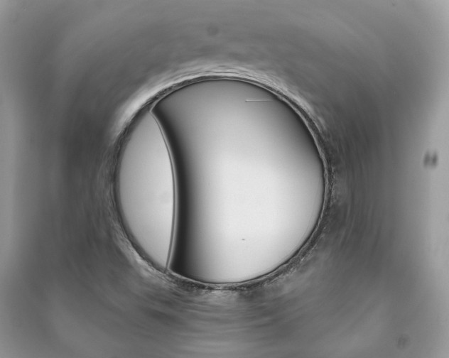X0000091181503200708091035