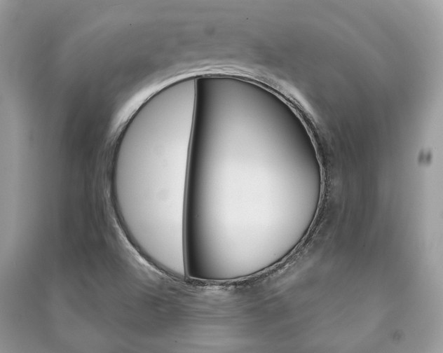 X0000091181504200708091035