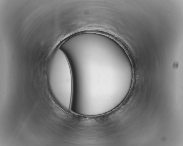 X0000091181505200708091035
