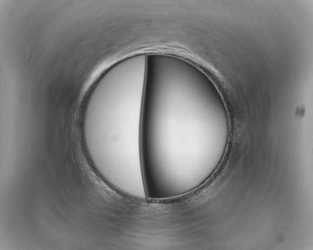 X0000091181506200708091035